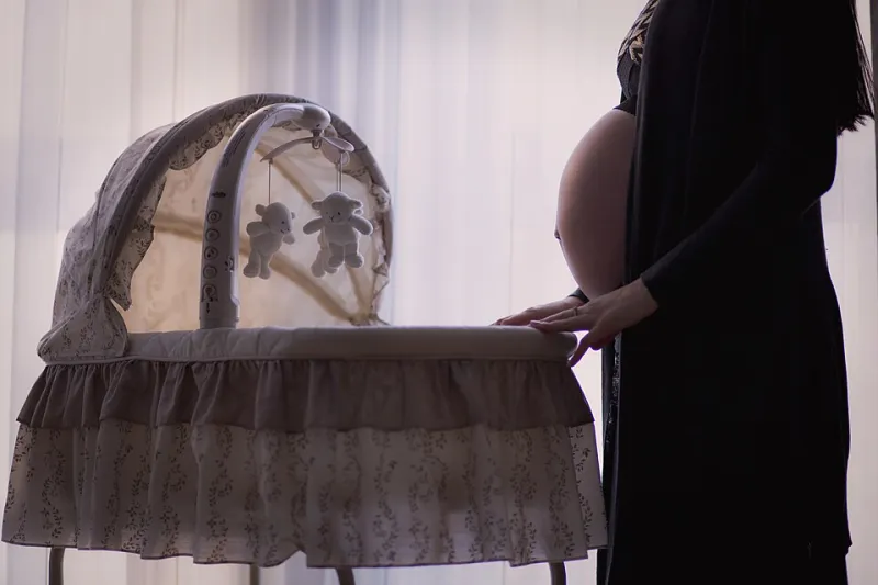 Pregnant and Paying for It: A No-Fluff Financial Guide to the Nine Months Ahead